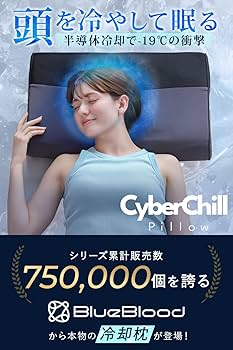 【最終値下げ】【新品未開封】Blue Blood サイバーチルピロー 水冷枕 半導体ひんやり枕 ［Cyber Chill Pillow（サイバーチルピロー